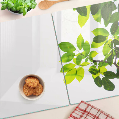 Schneidebrett Blätter vor hellem Himmel