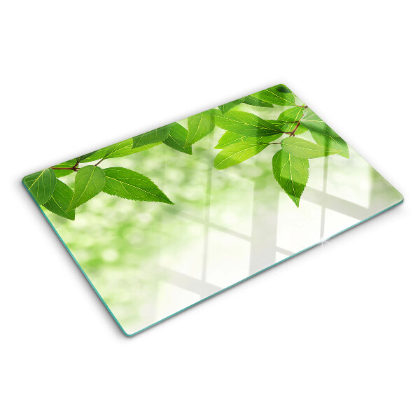 Glas-Schneidebrett mit Blattmotiv vor verschwommenem grünen Hintergrund