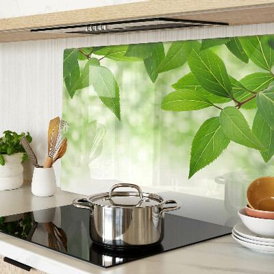 Glas-Schneidebrett mit Blattmotiv vor verschwommenem grünen Hintergrund