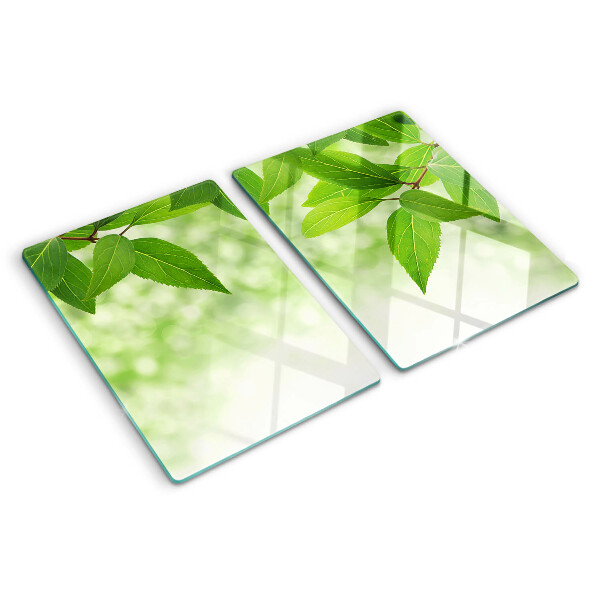 Glas schneidebrett Blätter vor einem verschwommenen grünen Hintergrund
