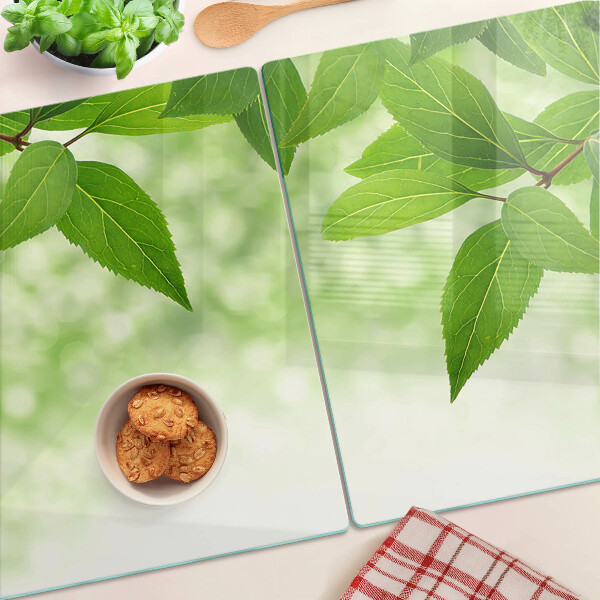 Glas schneidebrett Blätter vor einem verschwommenen grünen Hintergrund