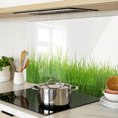 Glas schneidebrett Gras in der Sonne