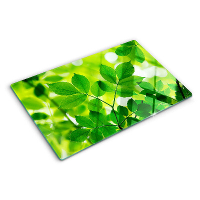 Schneidebrett mit Muster aus Blättern auf grünem Hintergrund