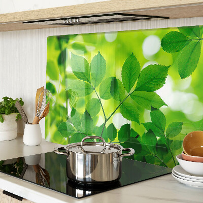 Schneidebrett Blätter auf grünem Hintergrund