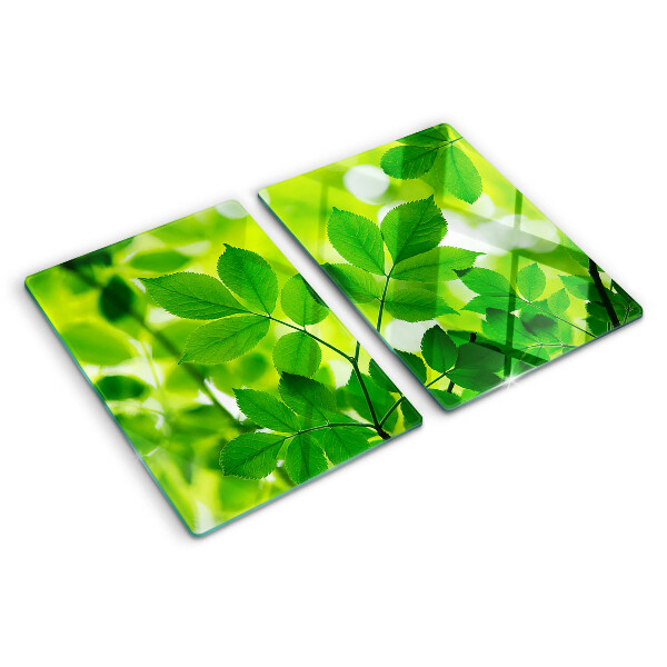 Schneidebrett Blätter auf grünem Hintergrund