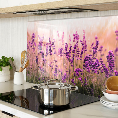 Glas schneidebrett Lavendelfeld im Sonnenschein