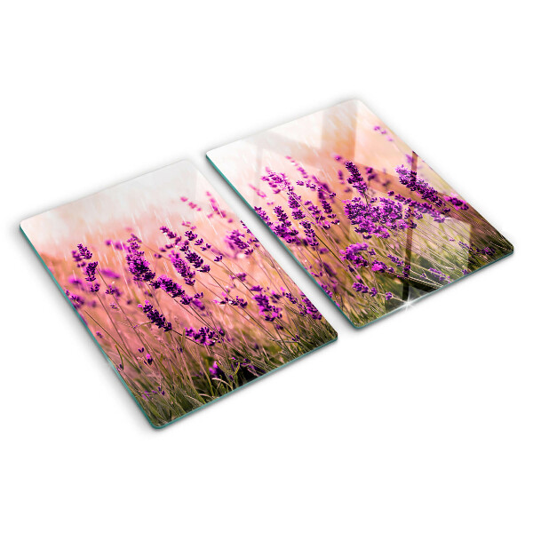 Glas schneidebrett Lavendelfeld im Sonnenschein