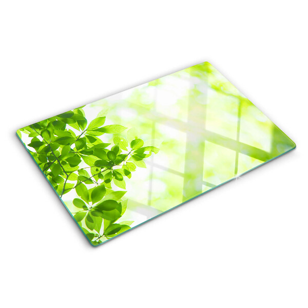 Glas-Schneidebrett mit Motiv grüner Blätter im Licht