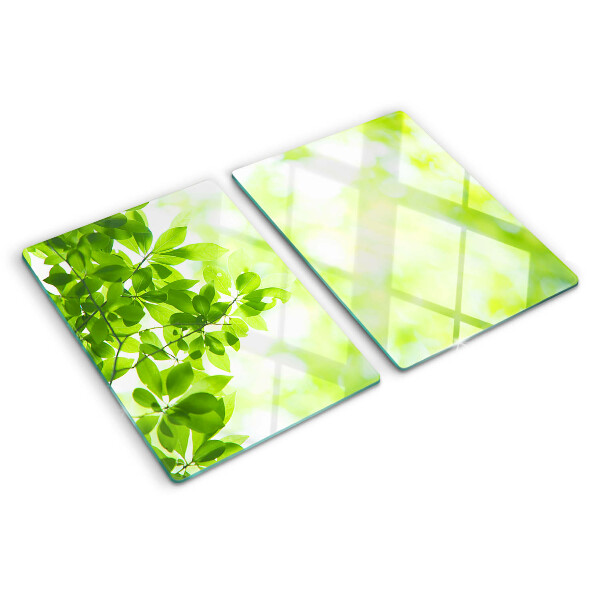 Glas-Schneidebrett mit Motiv grüner Blätter im Licht