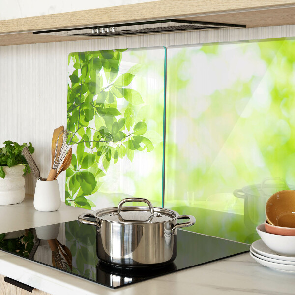 Glas schneidebrett Grüne Blätter im Licht