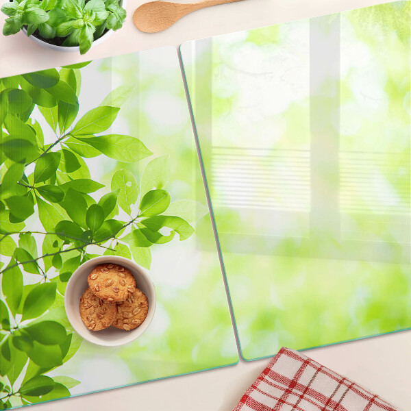 Glas-Schneidebrett mit Motiv grüner Blätter im Licht