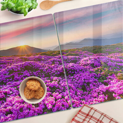 Schneidebrett glas Blumenlandschaft bei Sonnenuntergang