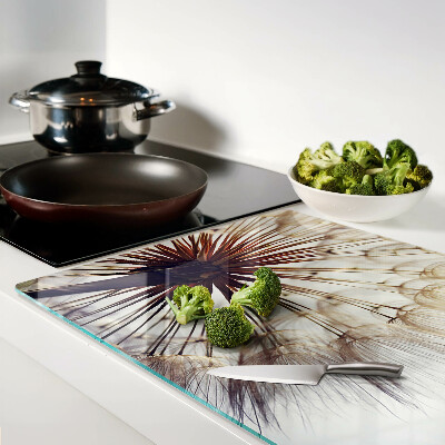 Schneidebrett glas Löwenzahn im Licht