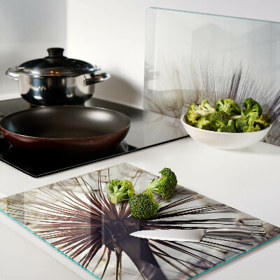 Schneidebrett glas Löwenzahn im Licht