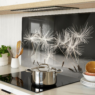 Glas Schneidebrett mit flauschigen Löwenzahnblüten auf einfarbigem Hintergrund