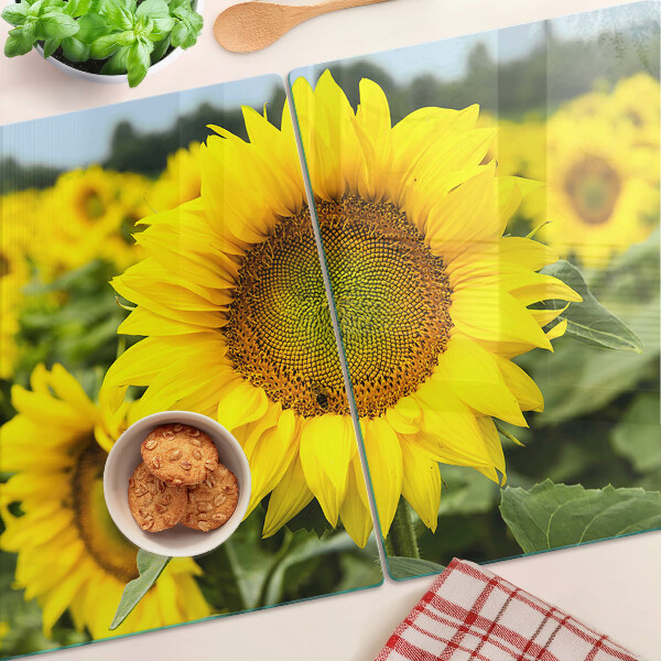 Schneidebrett aus Glas mit Sonnenblumen vor grünem Hintergrund