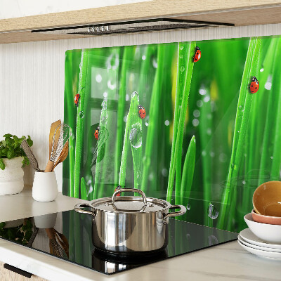 Schneidebrett Glas mit Motiv Wassertropfen auf Gras und Marienkäfern