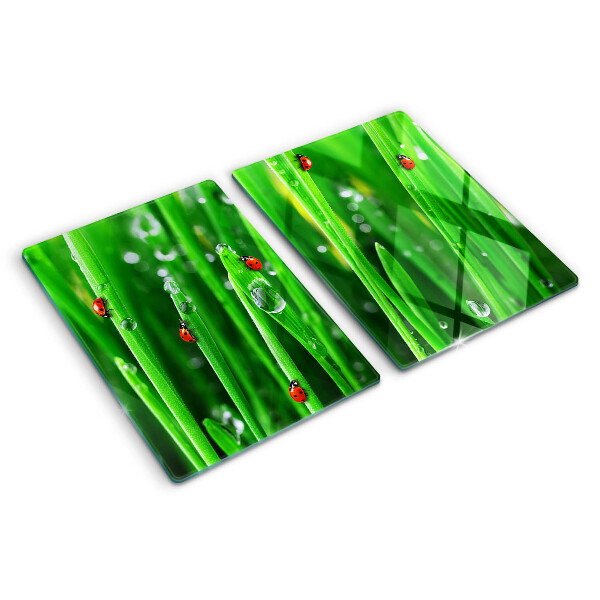 Schneidebrett Glas mit Motiv Wassertropfen auf Gras und Marienkäfern