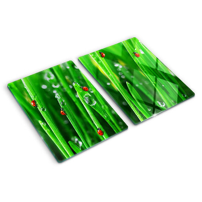 Schneidebrett Glas mit Motiv Wassertropfen auf Gras und Marienkäfern