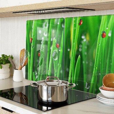 Schneidebrett Glas mit Motiv Wassertropfen auf Gras und Marienkäfern