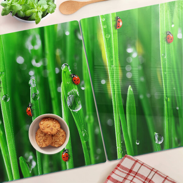 Schneidebrett glas Wassertropfen auf dem Gras mit Marienkäfern