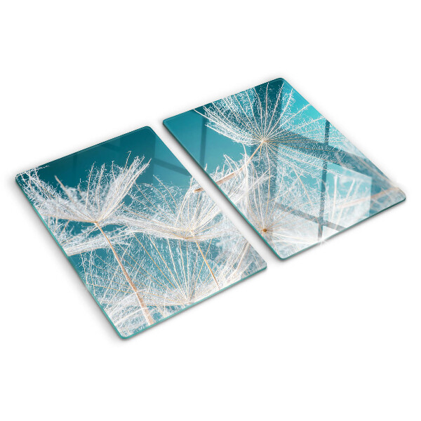 Glas schneidebrett Löwenzahn auf blauem Hintergrund