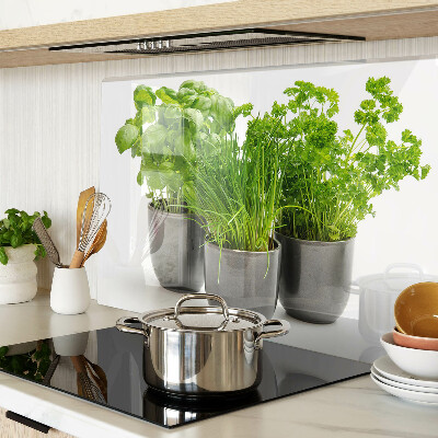 Glas Schneidebrett mit Motiv „Kräuter in Töpfen“