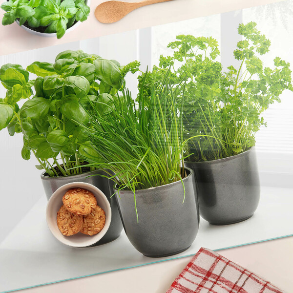 Glas Schneidebrett mit Motiv „Kräuter in Töpfen“