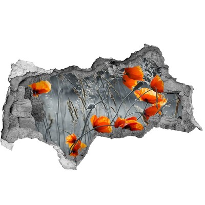 Wandbilder 3D Mauerdurchbruch Blumen in einem Loch in der Wand