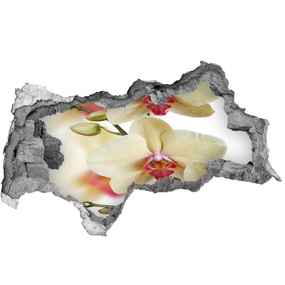 Wandtattoos Mauerdurchbruch Orchideen in einer zerbrochenen Mauer