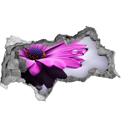 Mauerdurchbruch Aufkleber Eine blühende Oase hinter der Mauer