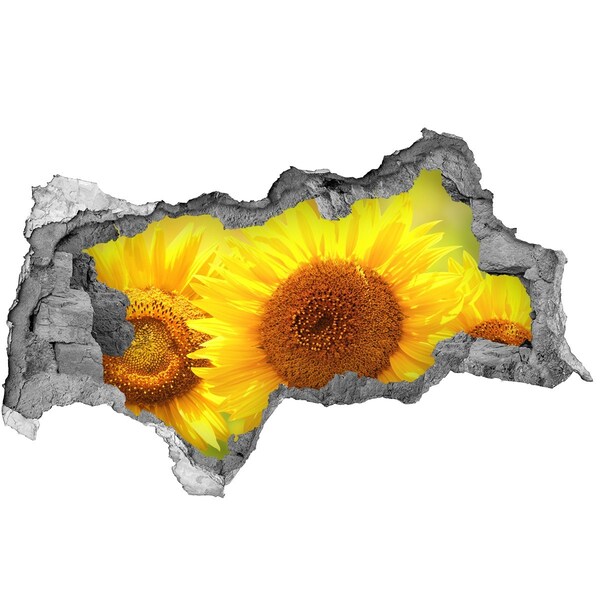 3D Wandtattoos Mauerdurchbruch Sonnenblume aus Beton