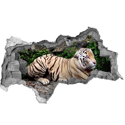 Wandbilder 3D Mauerdurchbruch Tiger in seinem natürlichen Lebensraum