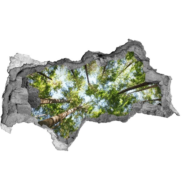 Wandtattoos Mauerdurchbruch Blick auf den Wald bei blauem Himmel