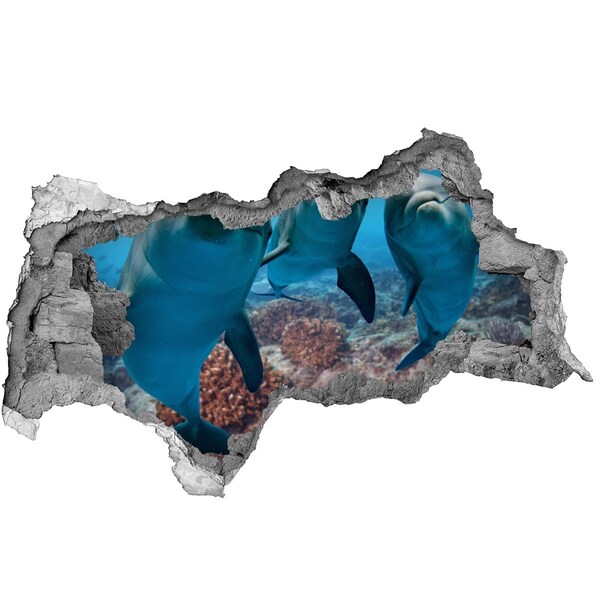 3D Wandtattoos Mauerdurchbruch Delfine in einem Korallenriff