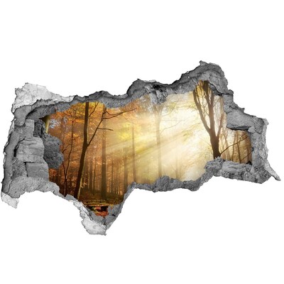 Wandbilder 3D Mauerdurchbruch Goldener Wald im Sonnenlicht