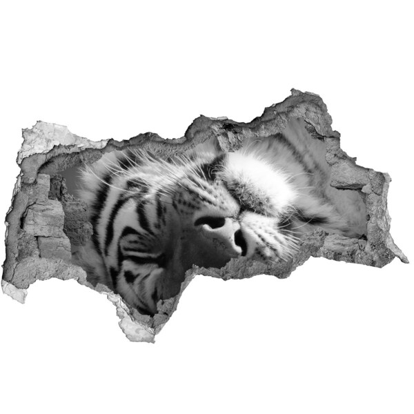 Wandbilder 3D Mauerdurchbruch Das Gesicht des Tigers