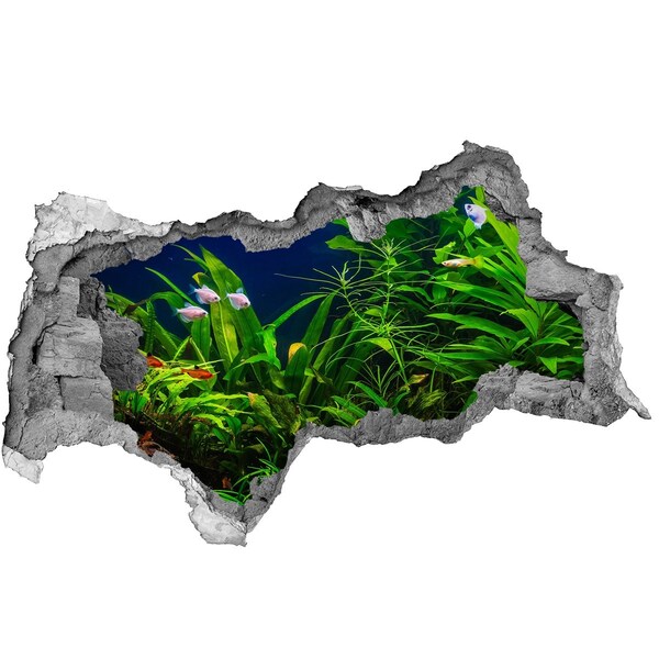 Mauerdurchbruch Aufkleber Die Unterwasserwelt im Aquarium