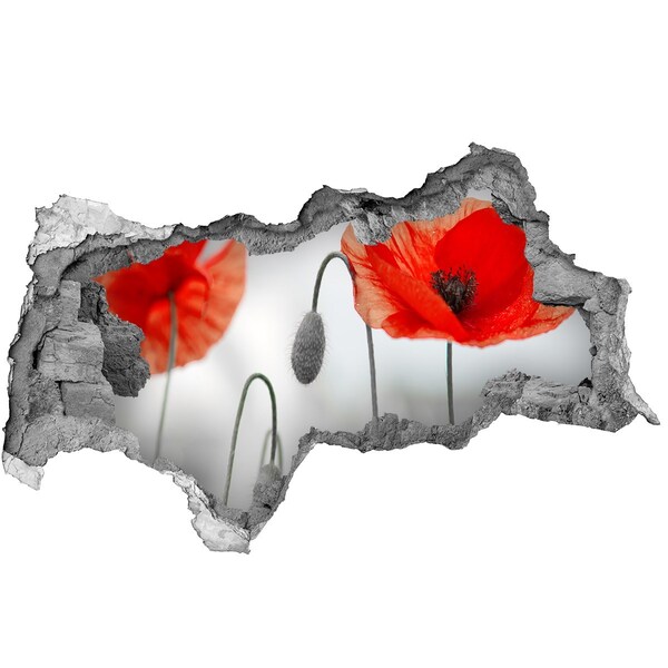 Wandtattoos Mauerdurchbruch Blumen in einem Loch in der Wand