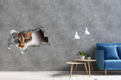 3D Wandtattoos Mauerdurchbruch Katze in einem Loch in der Wand