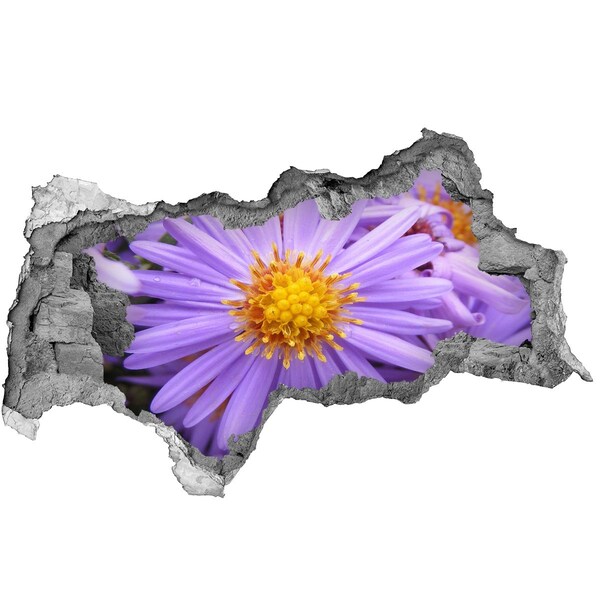 3D Wandtattoos Mauerdurchbruch Blume aus Beton