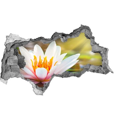 Wandbilder 3D Mauerdurchbruch Wasserblume in einer verfallenen Mauer