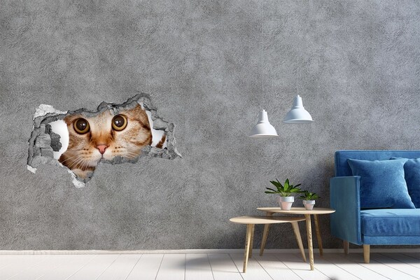 3D Wandtattoos Mauerdurchbruch Die Katze hinter dem Loch in der Wand