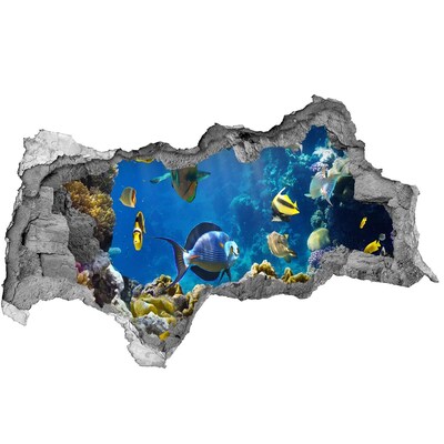 Wandbilder 3D Mauerdurchbruch Die Unterwasserwelt des Korallenriffs