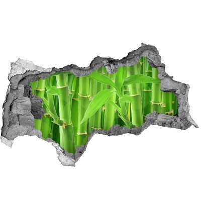 Wandbilder 3D Mauerdurchbruch Grüner Bambuswald