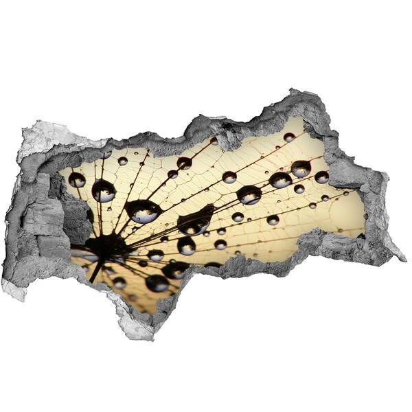 3D Wandtattoos Mauerdurchbruch Wassertropfen auf einem Schmetterlingsflügel