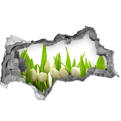 Wandtattoos Mauerdurchbruch Blumen im Garten