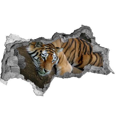 Wandbilder 3D Mauerdurchbruch Tiger in seinem natürlichen Lebensraum