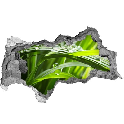 3D Wandtattoos Mauerdurchbruch Grüne Wiese mit Wassertropfen