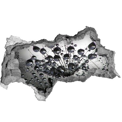 Wandbilder 3D Mauerdurchbruch Wassertropfen auf einem Löwenzahn